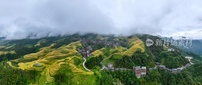 广西桂林龙脊梯田秋收稻田航拍风景