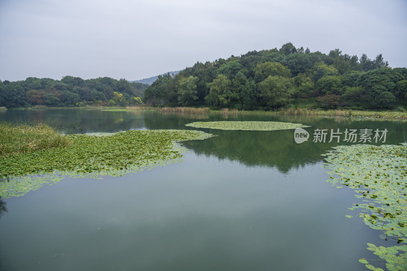 杭州三台山乌龟潭风景