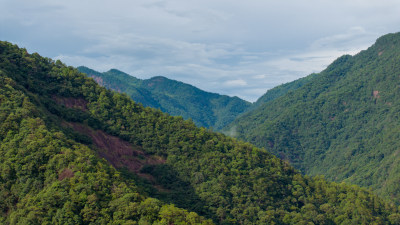 中国福建武夷山云雾缭绕