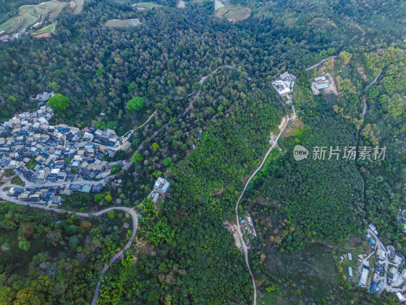 航拍被森林环绕的景迈山村庄全景