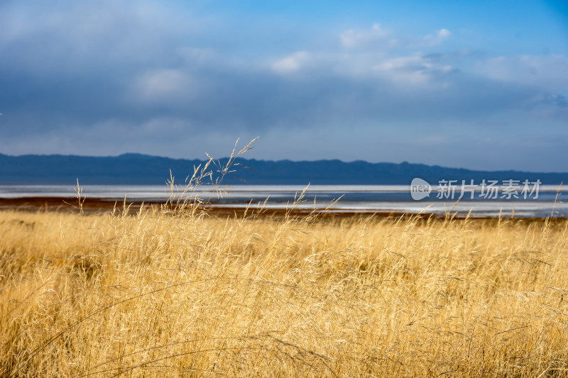 哈密巴里坤湖景区