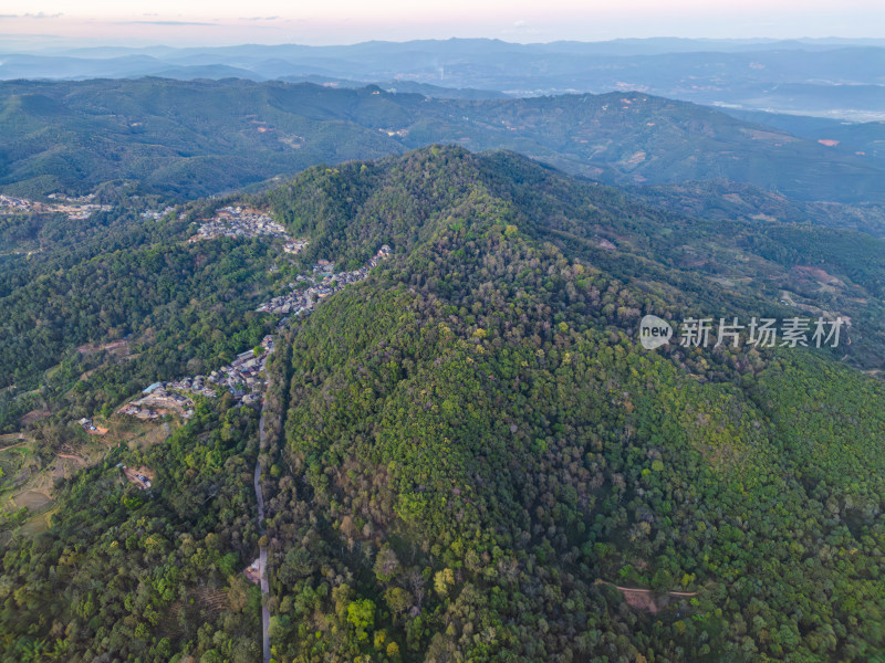 航拍被森林环绕的景迈山村庄全景