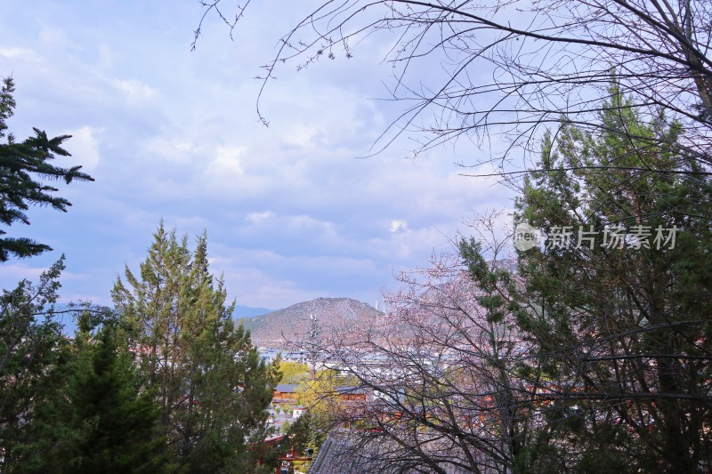 大佛寺山顶的风景