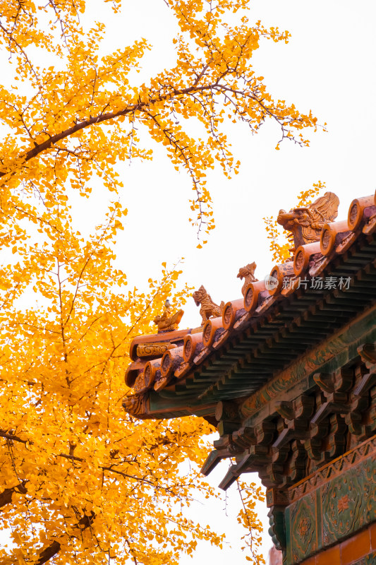 故宫博物院紫禁城东六宫延禧宫风景