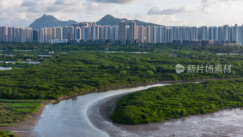 香港米埔自然护理区