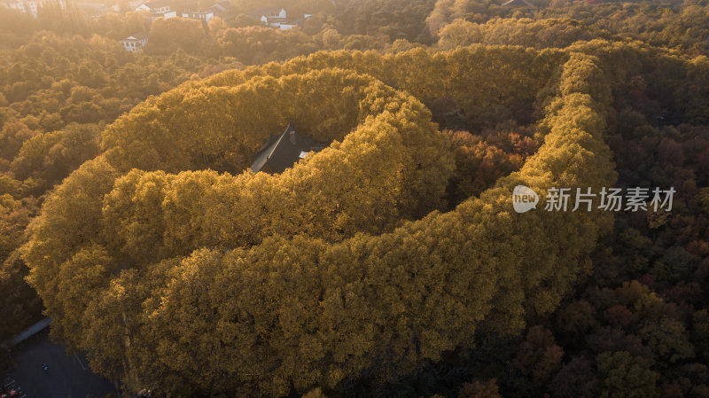 南京美龄宫秋景航拍（图3）