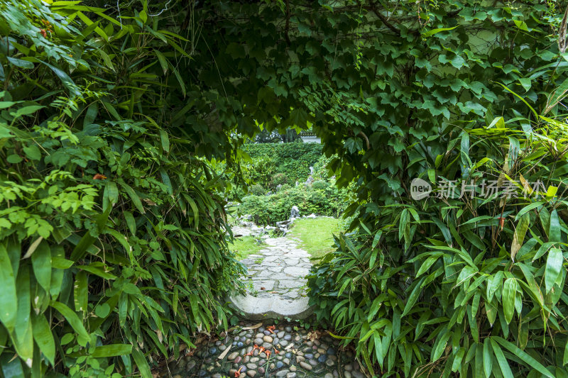 武汉东湖磨山景区盆景园