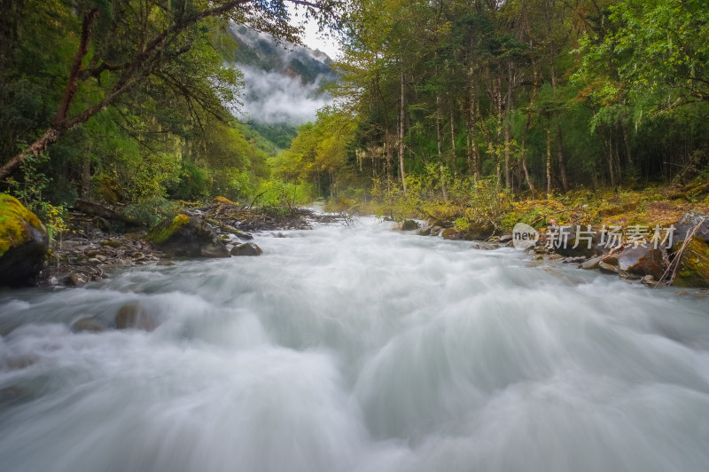 山林河谷湍急的河流