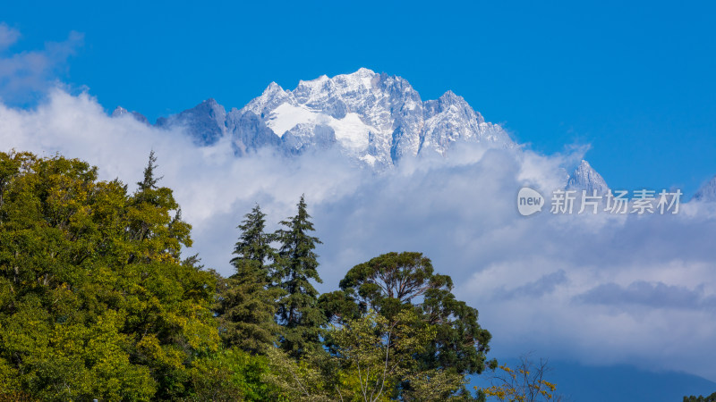 丽江古城黑龙潭景