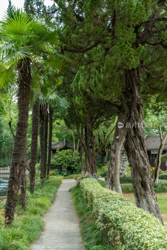 上海青浦朱家角古镇课植园