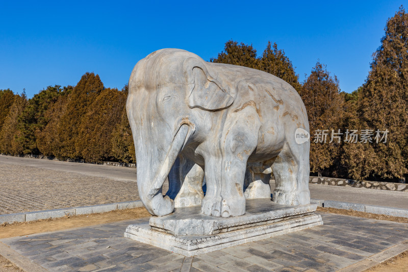 河北唐山市遵化清东陵石像生立姿大象