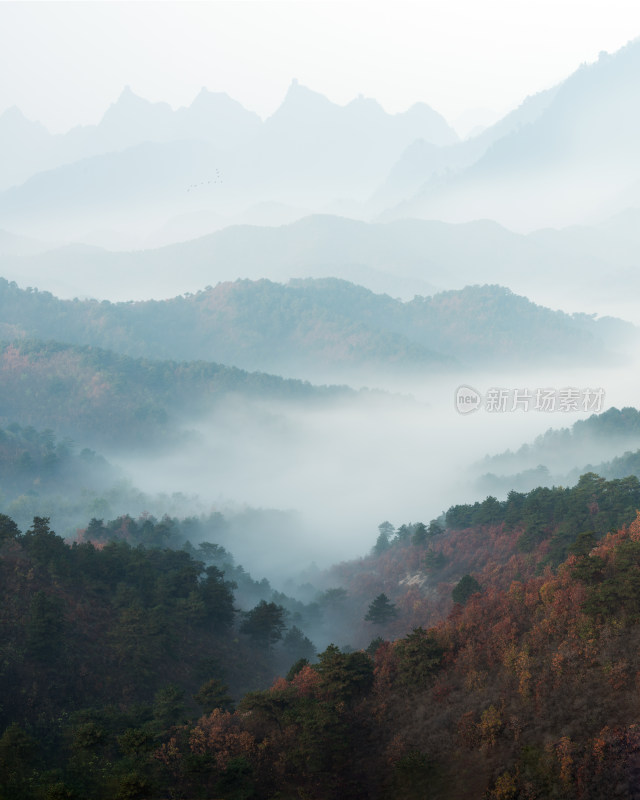 自然风光青山绿水山水风光