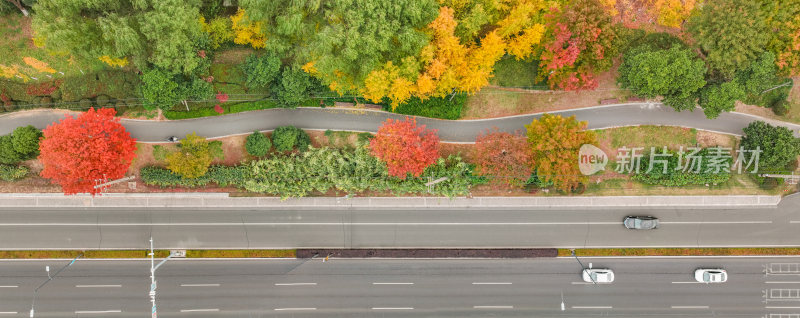 航拍昆山道路上的秋冬景色