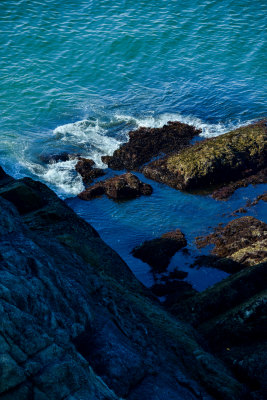 海洋的风景