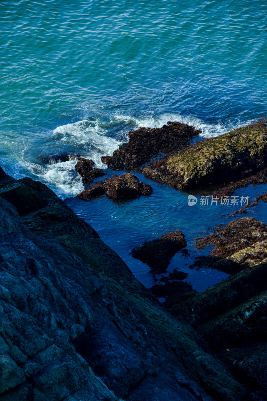 海洋的风景