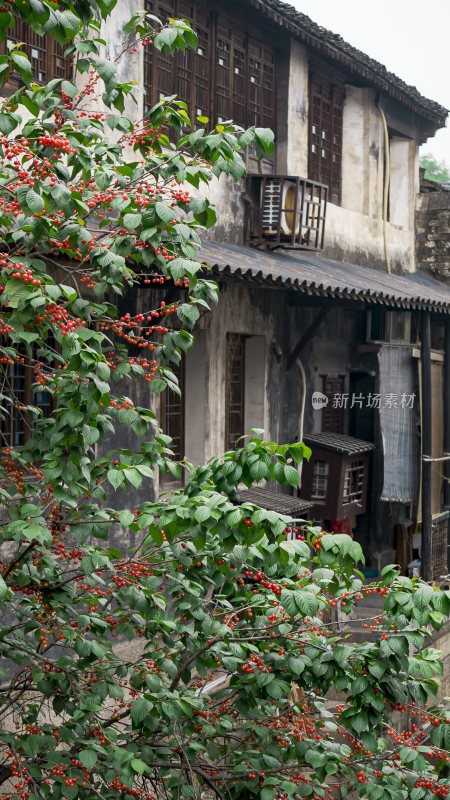 绍兴仓桥直街江南水乡风景