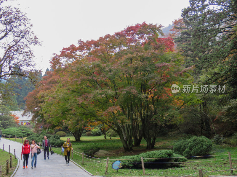 中国江西九江庐山旅游风光