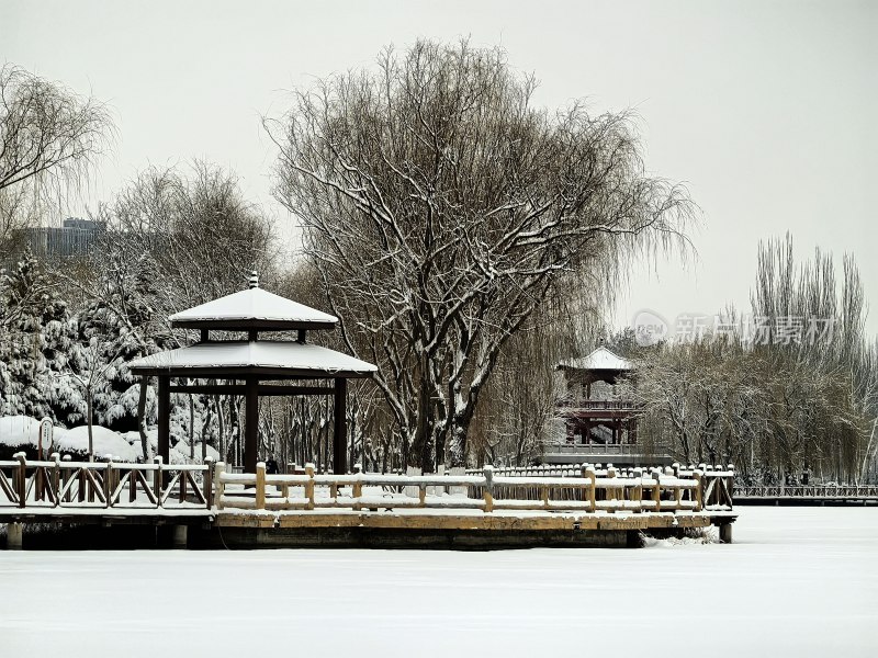 雪中公园凉亭及树木的冬日景象