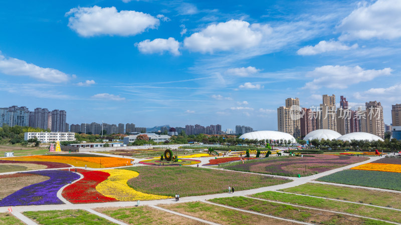 枣庄东湖花海全景图