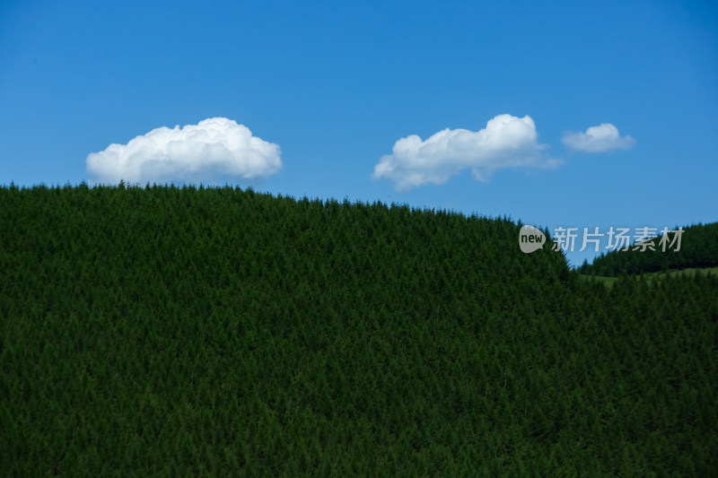 京郊小天山-麻田岭