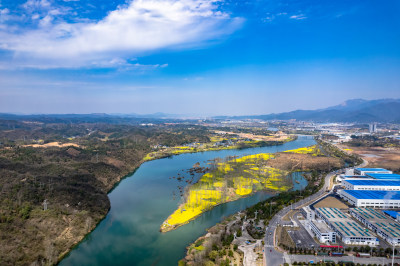 春天乡村田园油菜花航拍图