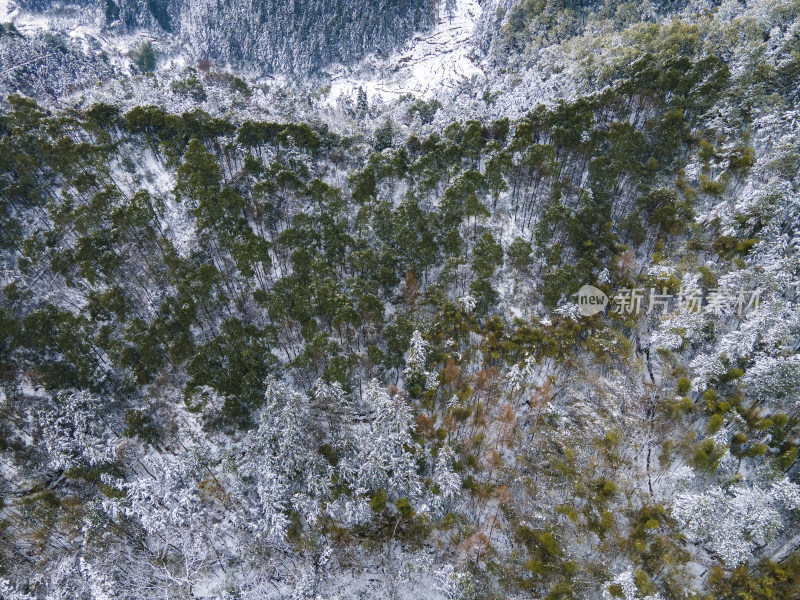 森林冬天雪景航拍摄影图