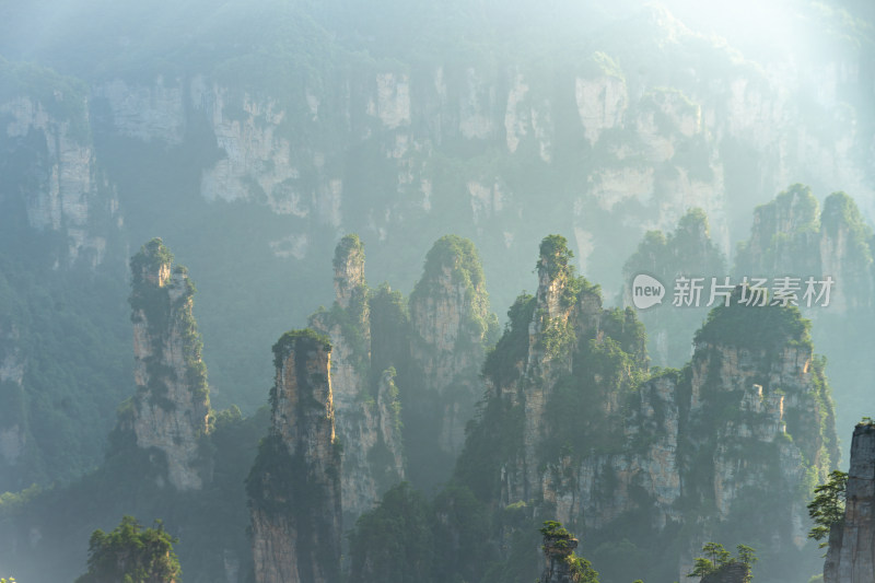 中国湖南张家界景区奇特山峰与茂密森林