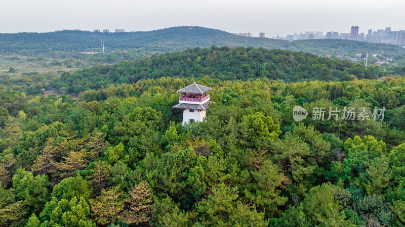 武汉马鞍山森林公园的林中亭子