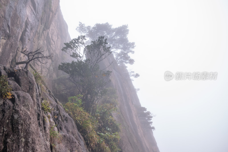 云雾下，安徽黄山风景区风光