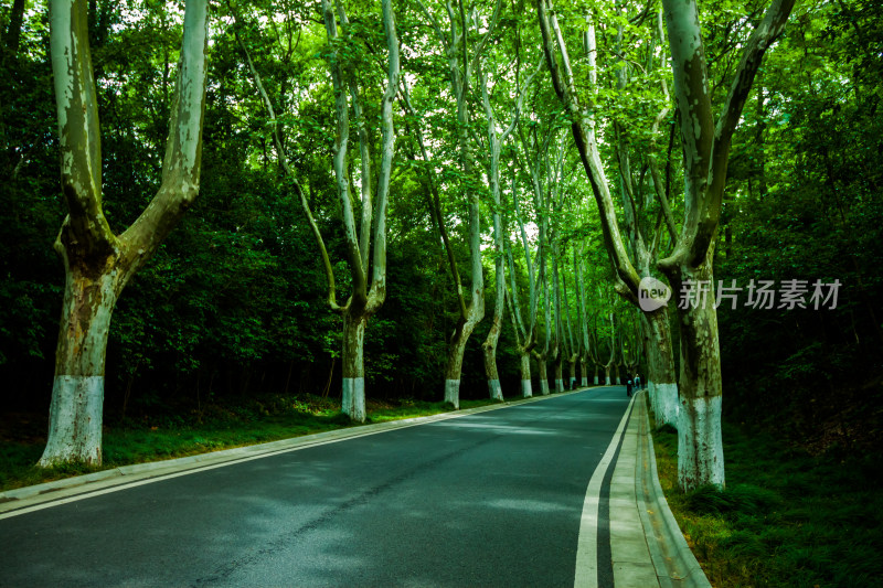 南京金陵的风景