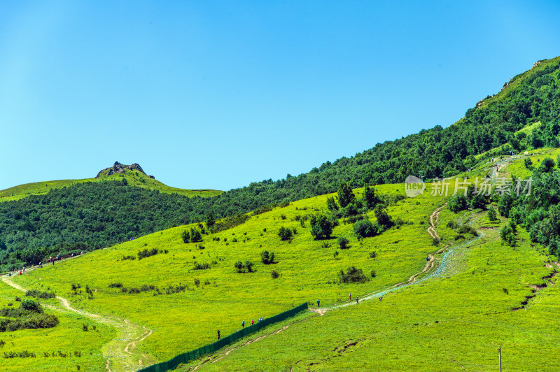 夏季蓝天白云绿色高山草甸群山大气风光