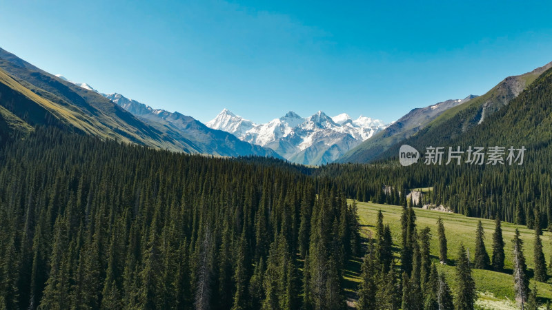 航拍雪山森林河流风景