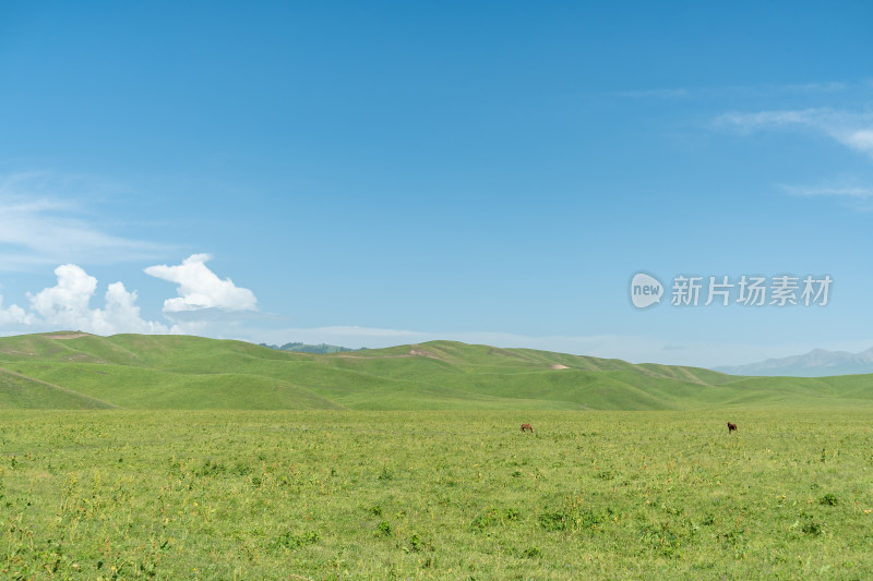 新疆伊犁那拉提景区