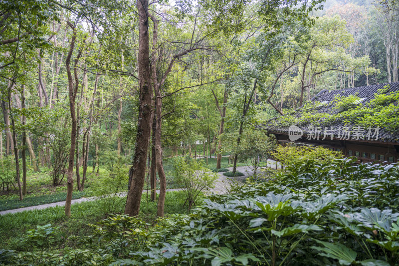 杭州三台山留馀山居风景