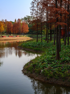 秋天公园里湖边风景