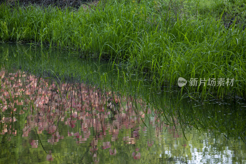 公园一角小景