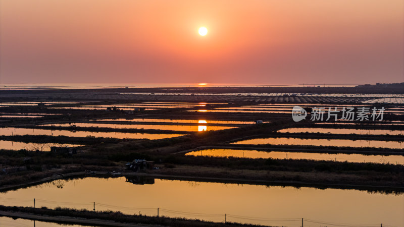 水产养殖：廉江市龙营围万亩虾田