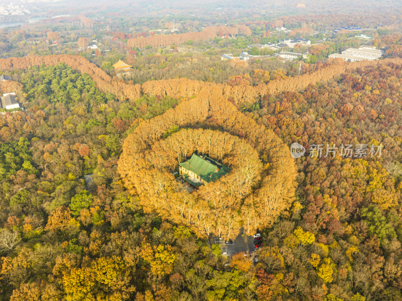 航拍秋季清晨南京中山陵风景区美龄宫