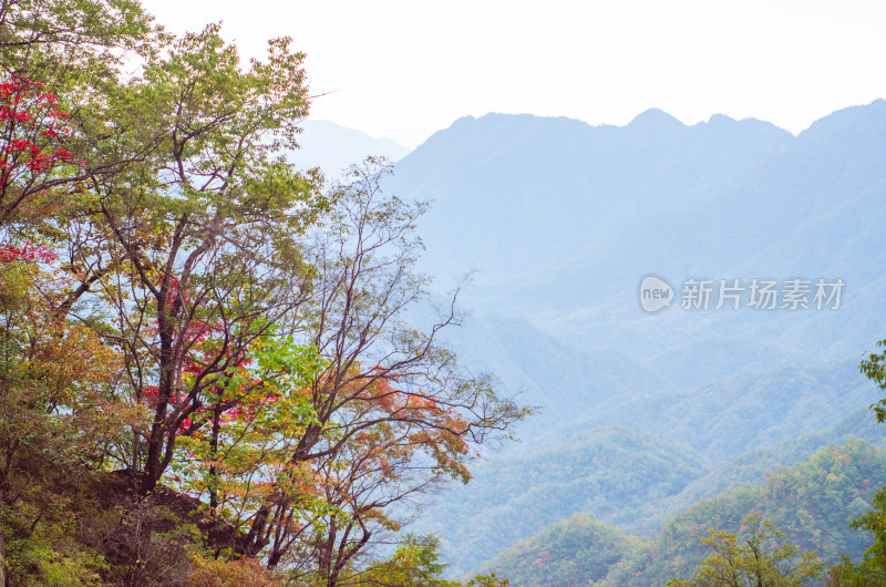 河南省洛阳白云山九龙潭秋天风景