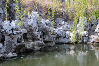 春天静谧的假山园林池塘和柳枝