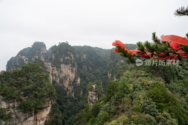 云雾缭绕的张家界奇峰异石景观