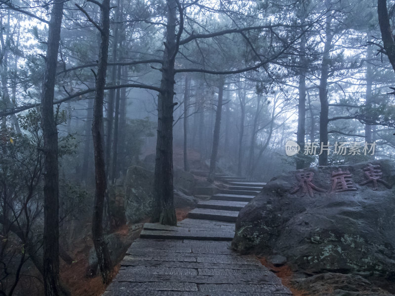 安徽九华山雾景