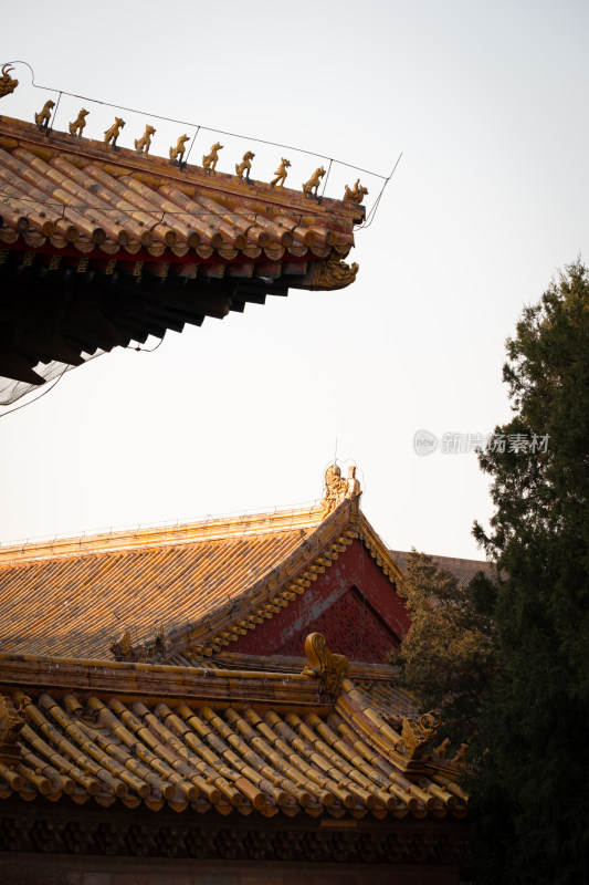 太庙里的建筑