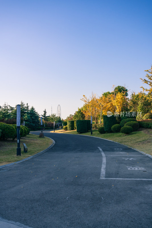 清晨公园内带绿化的弯曲柏油道路