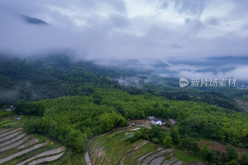 山间云雾缭绕的田园风光