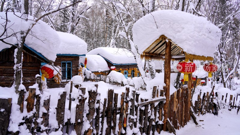 林海雪原