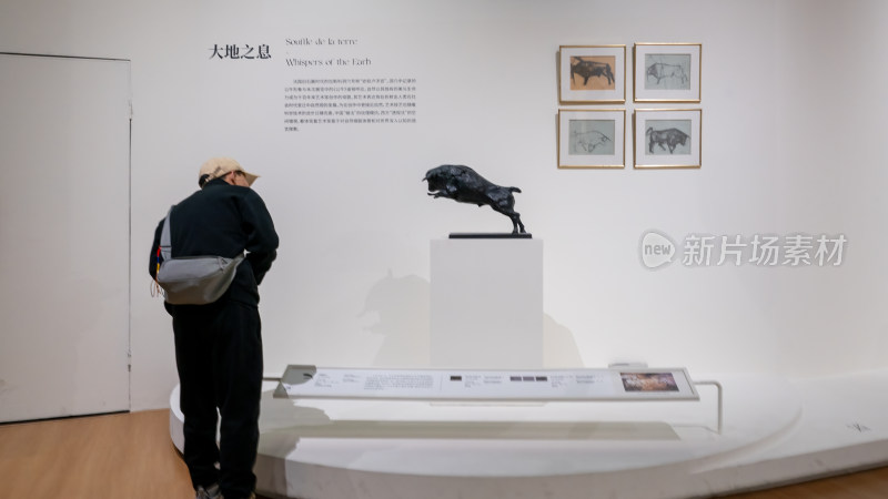 成都博物馆的法兰西艺术院中法院士艺术特展