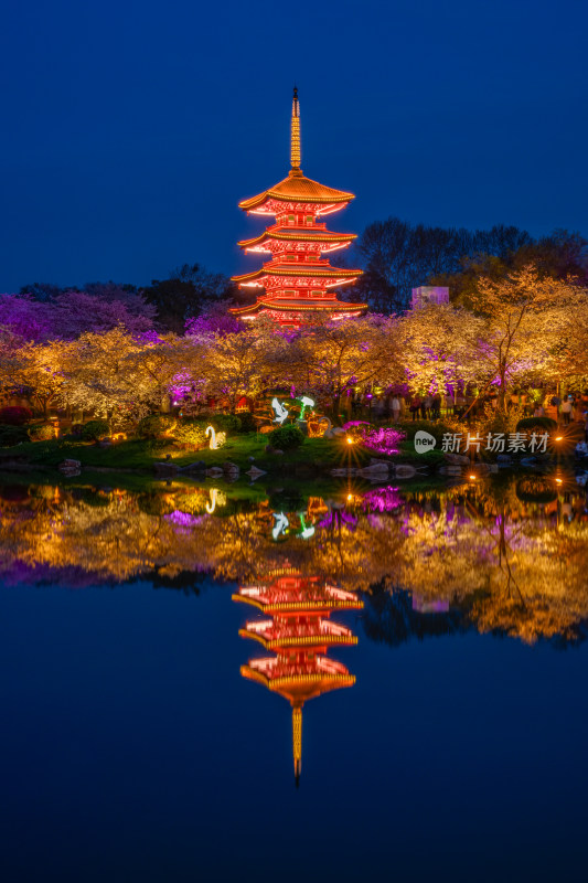 湖北武汉东湖樱园春季夜景风光