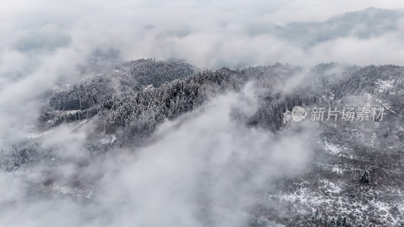 重庆酉阳：大雪纷飞赏雪忙