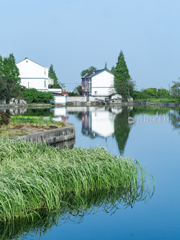 绍兴江南水乡东鉴湖风景